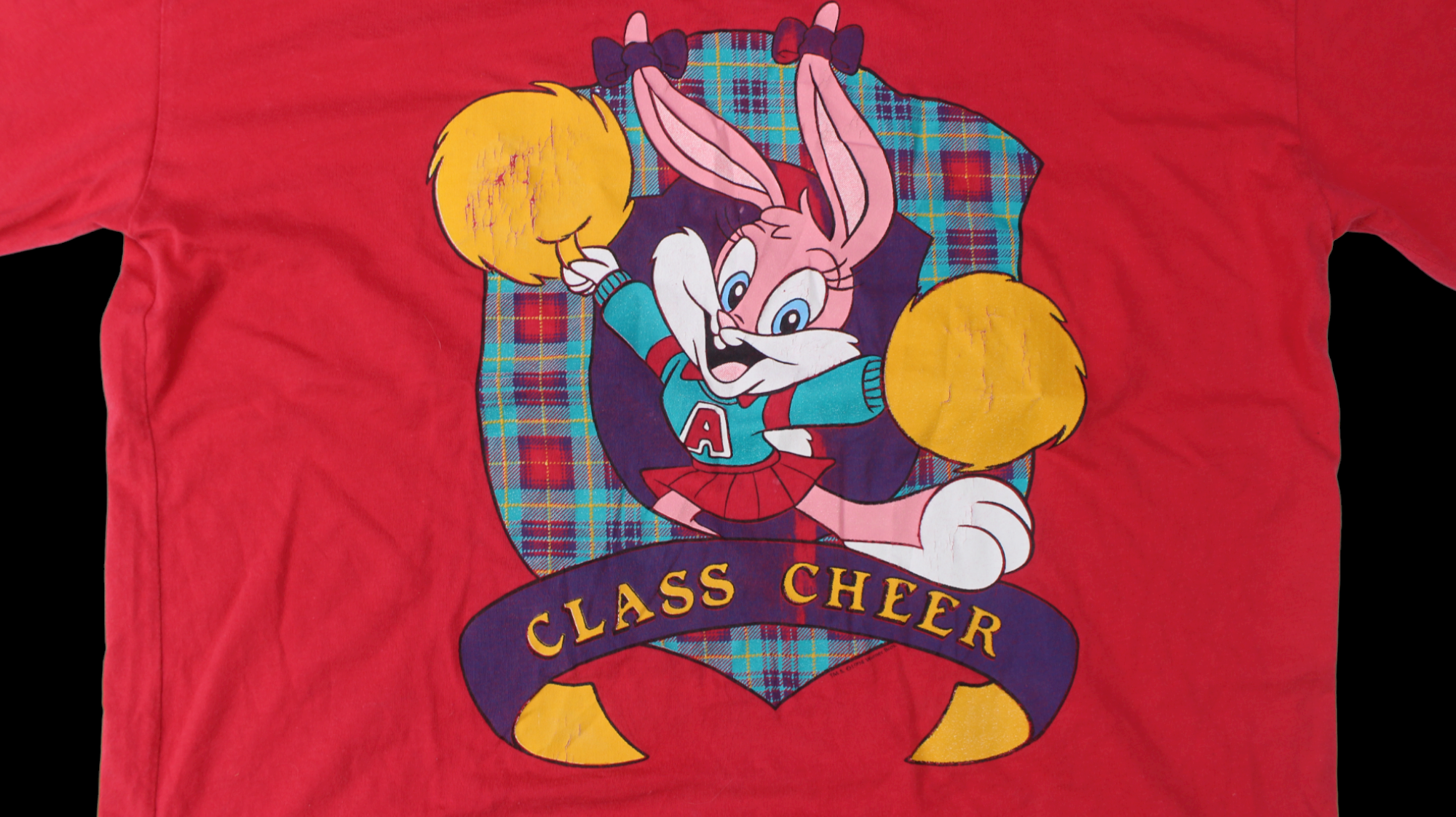 1994 Tiny Tunes shirt