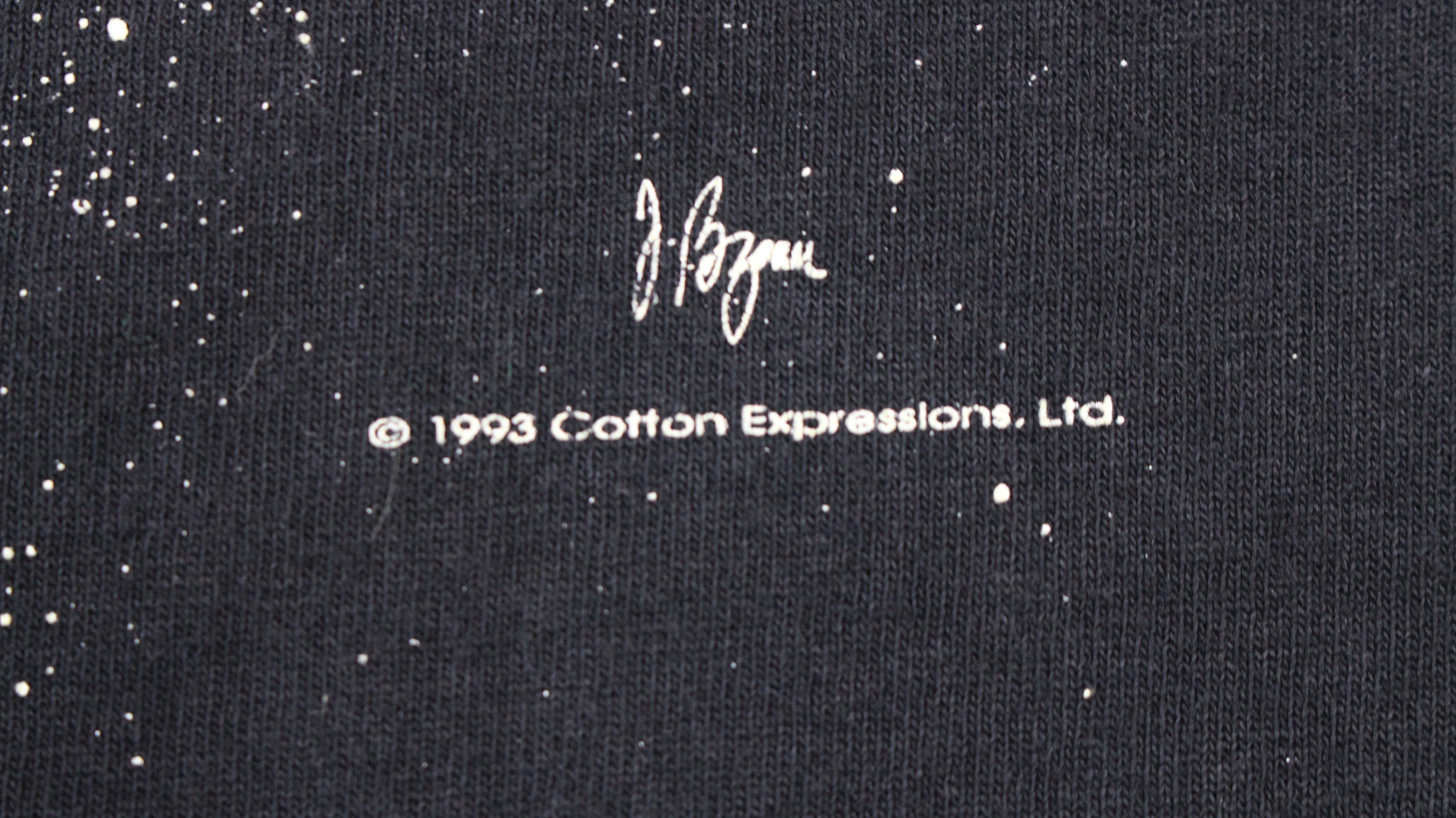 1993 Einstein shirt