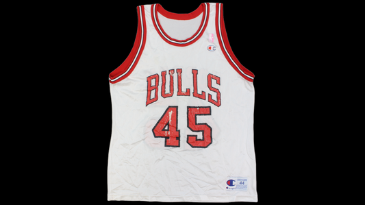 Michael Jordan Chicago Bulls Champion jersey