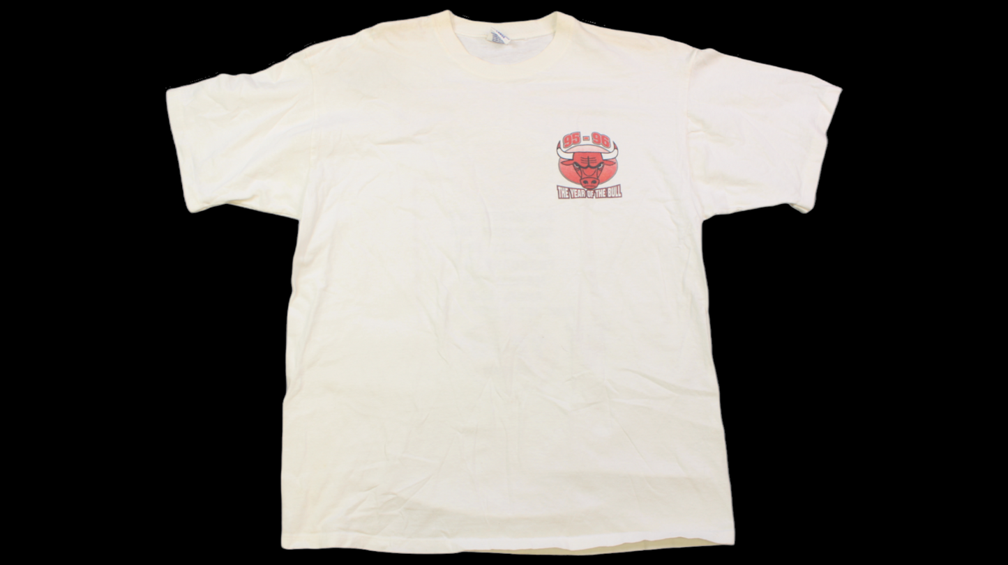 90's Chicago Bulls Dream Season shirt