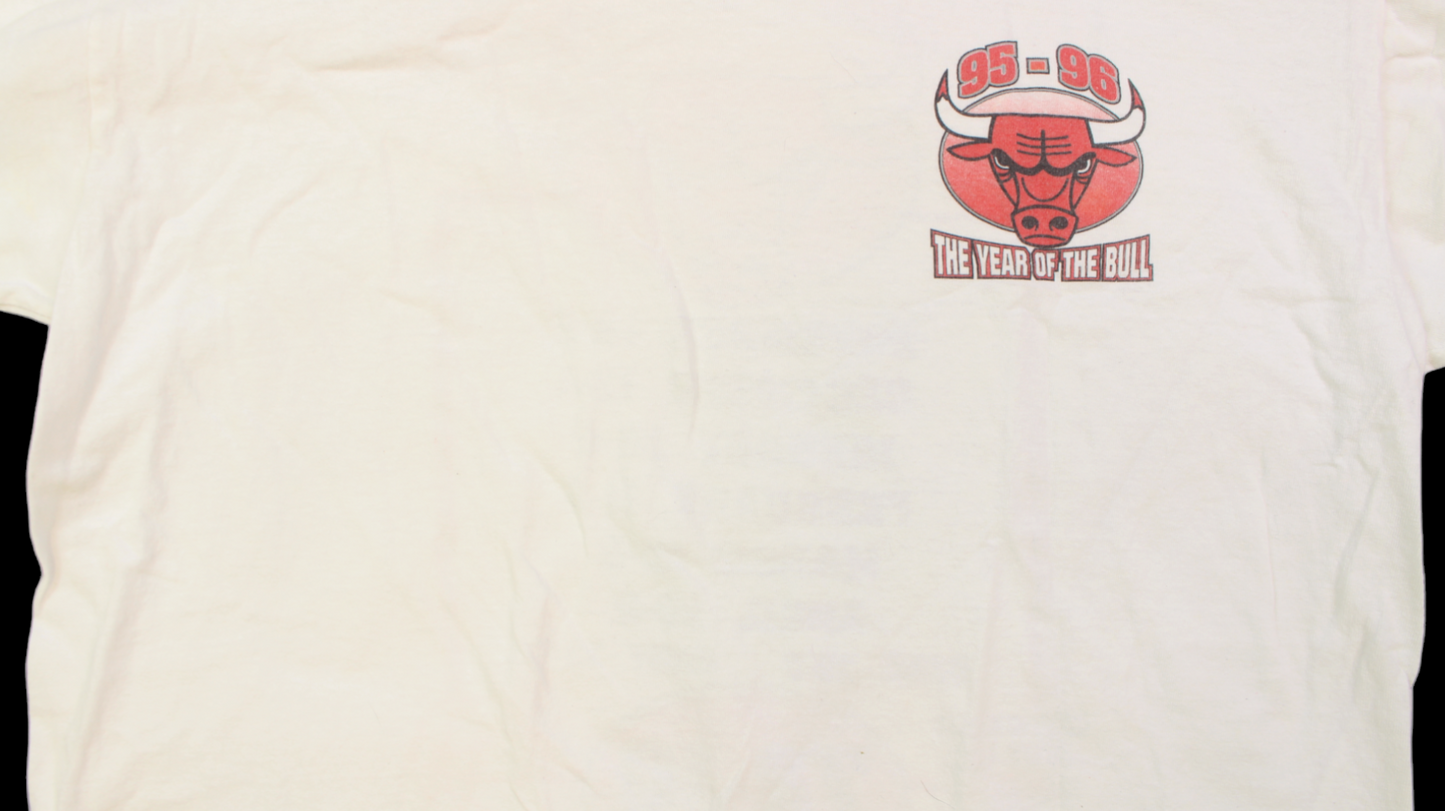 90's Chicago Bulls Dream Season shirt