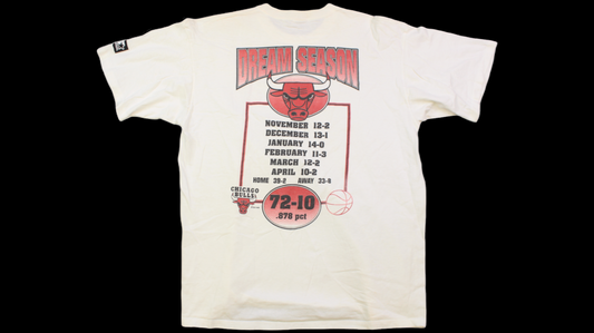 90's Chicago Bulls Dream Season shirt