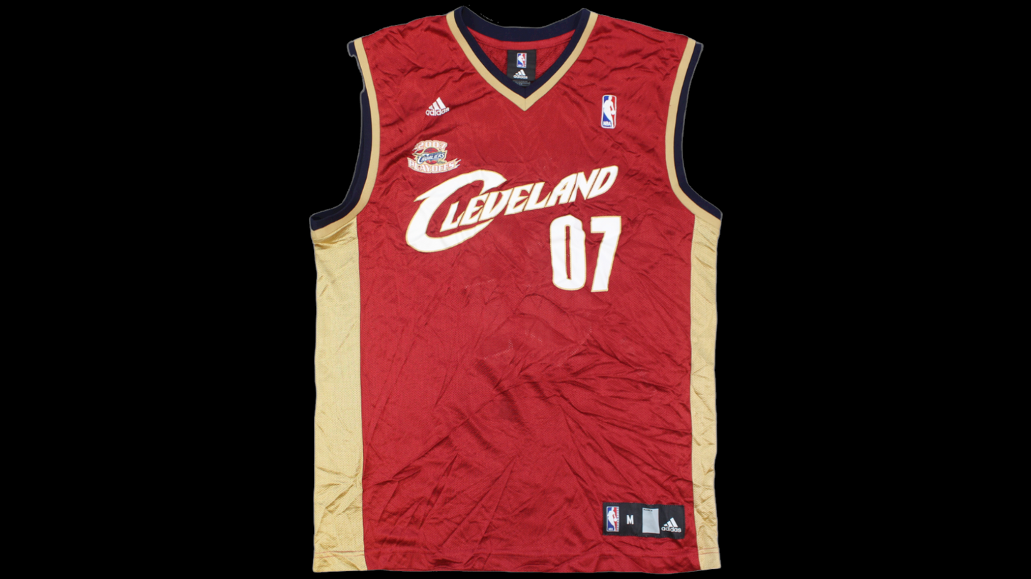 2007 Cleveland Cavaliers jersey