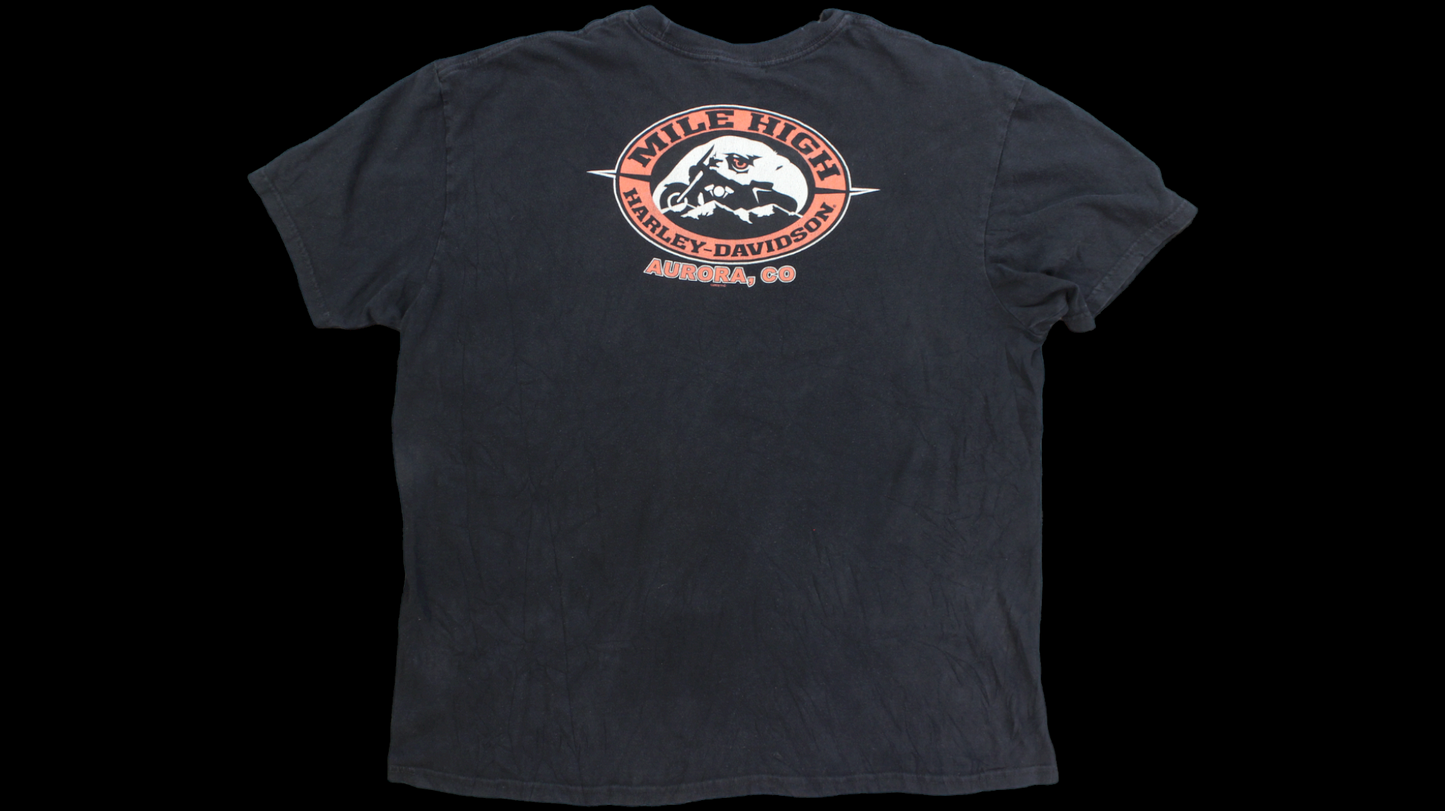 Y2K Harley Davidson shirt