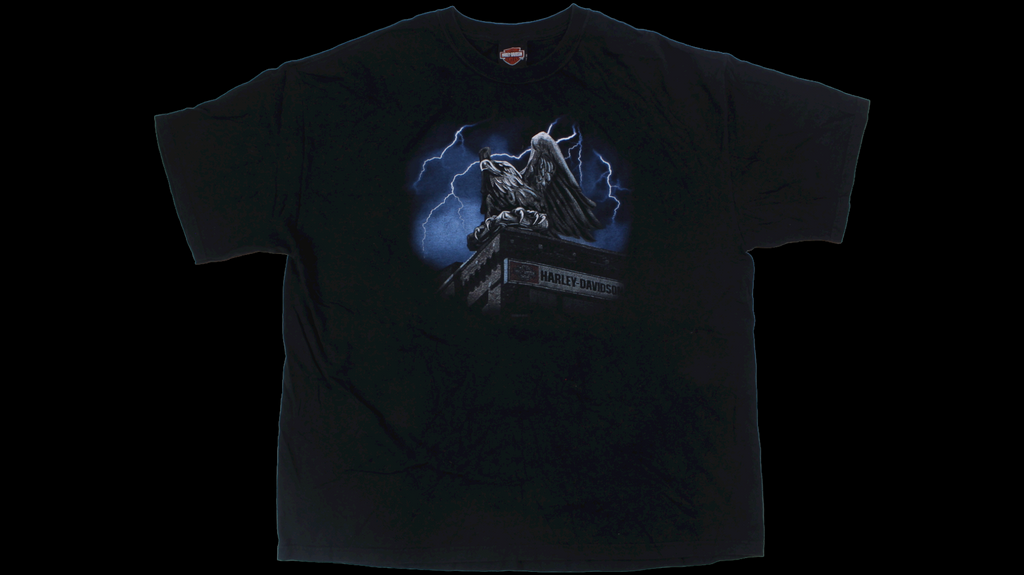 Y2K Harley Davidson shirt