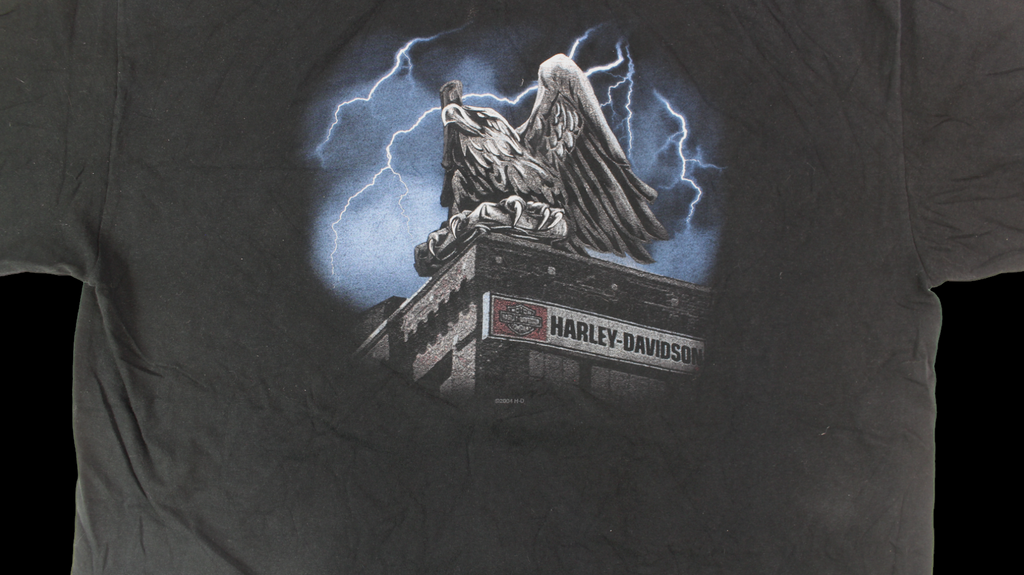 Y2K Harley Davidson shirt