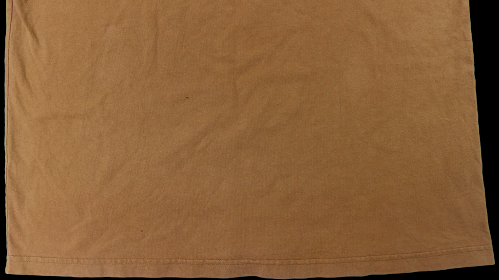 Brown Carhartt shirt