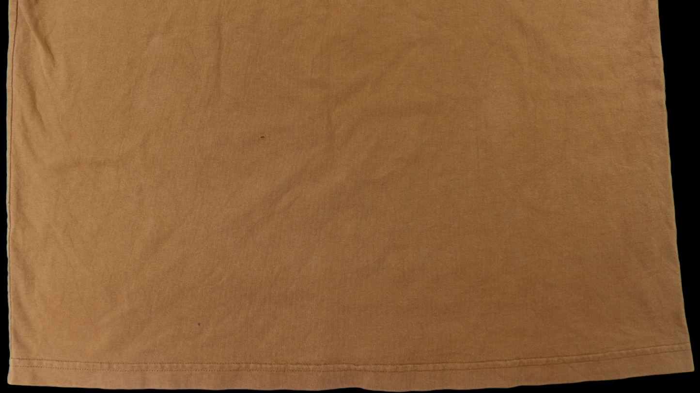 Brown Carhartt shirt