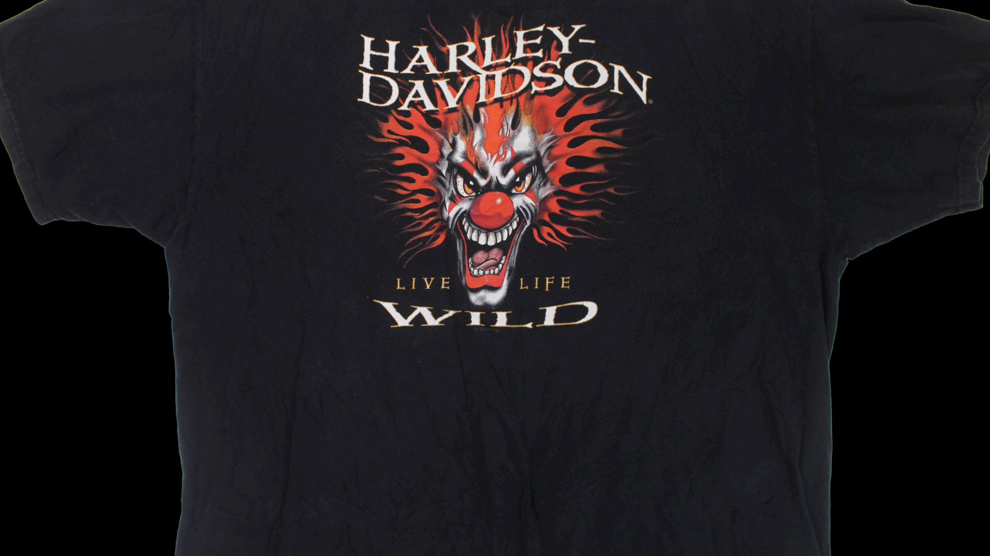 Harley Davidson Michigan shirt