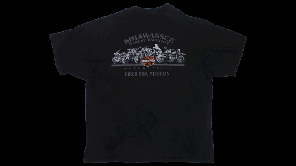 Harley Davidson Michigan shirt