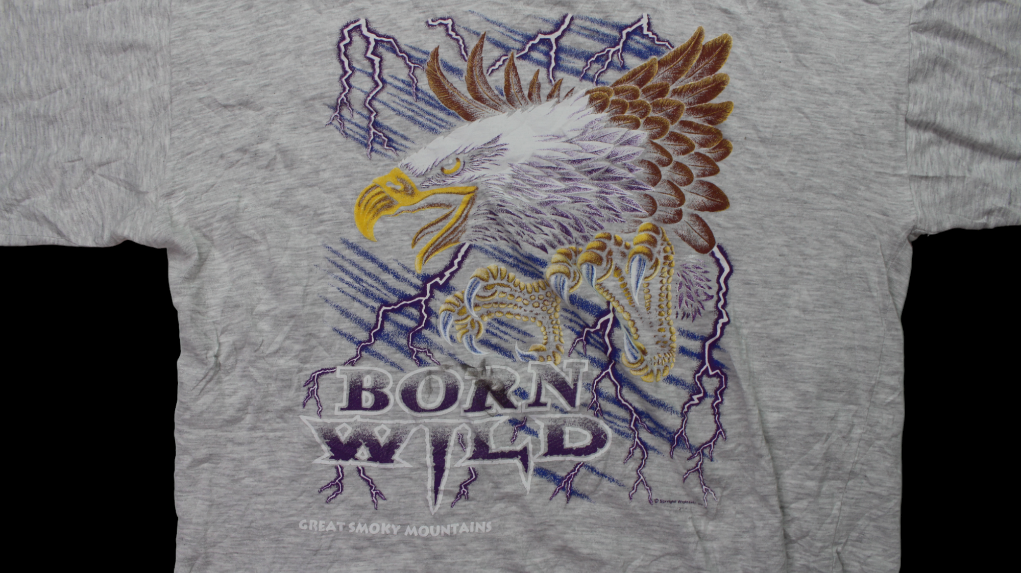 Born Wild Eagle Thunder shirt