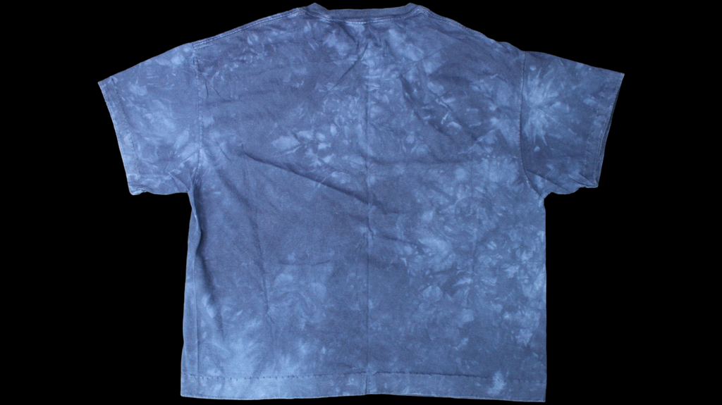 90's The Mountain Wolf shirt