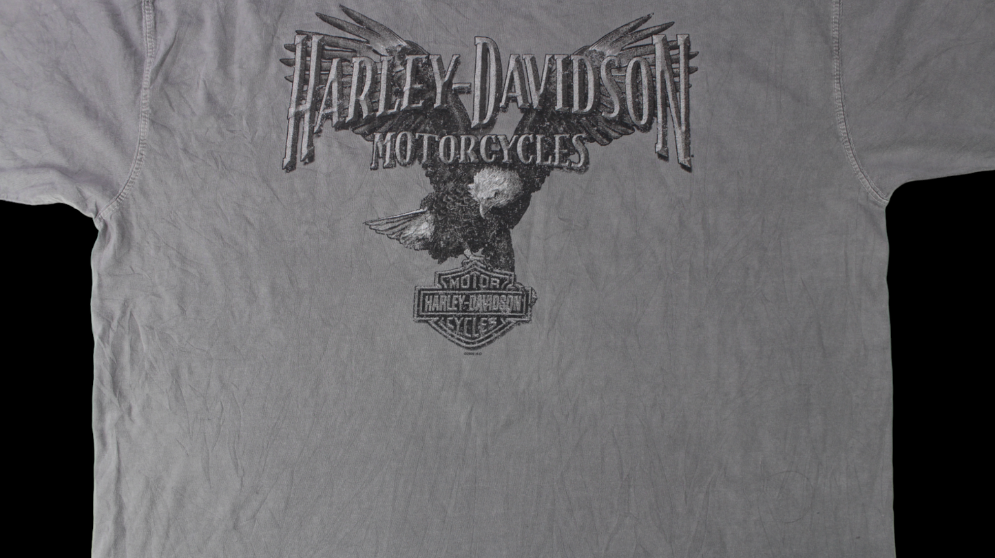 Harley Davidson Denney's shirt