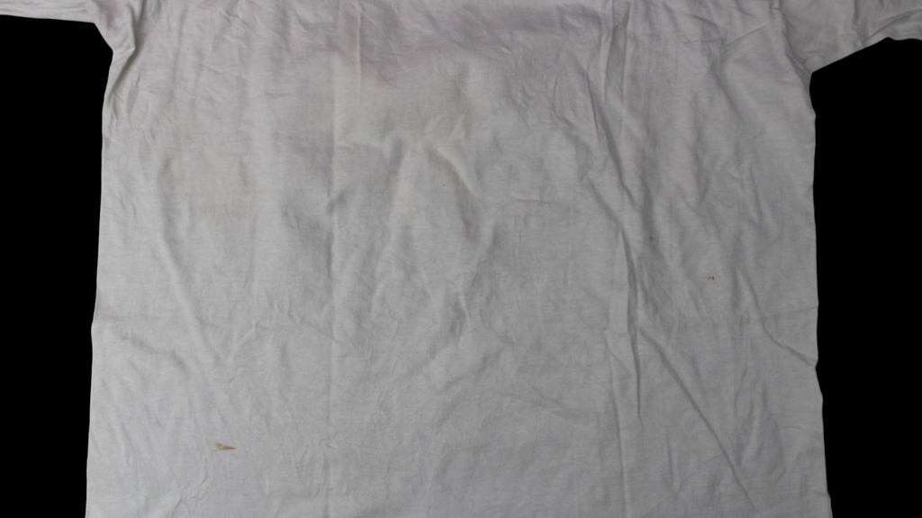 1990 Van Gough's Cat shirt