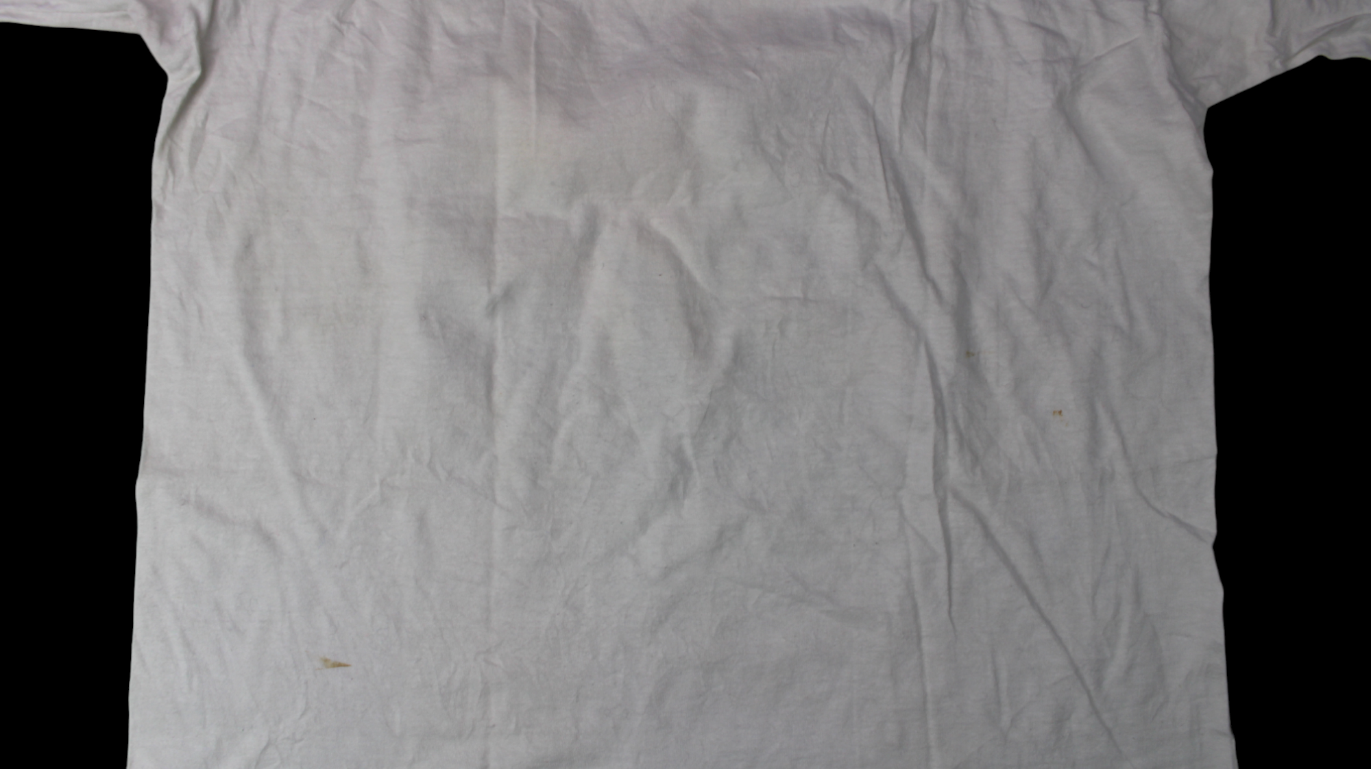 1990 Van Gough's Cat shirt