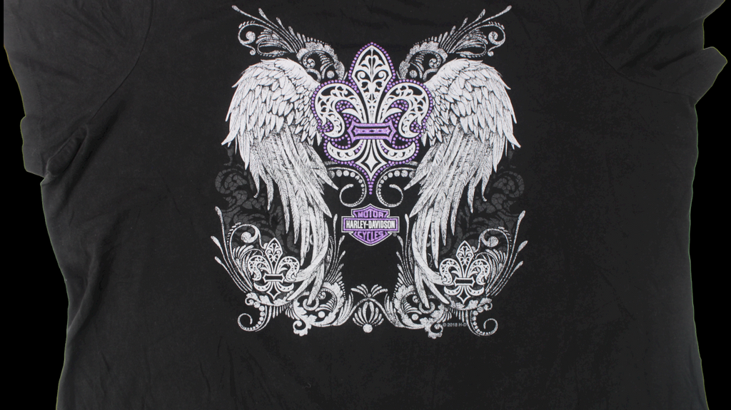 Harley Davidson shirt