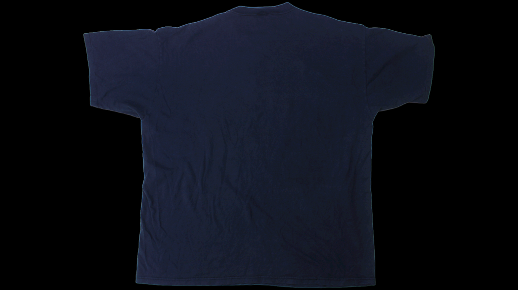 1993 Taz Harley Davidson shirt